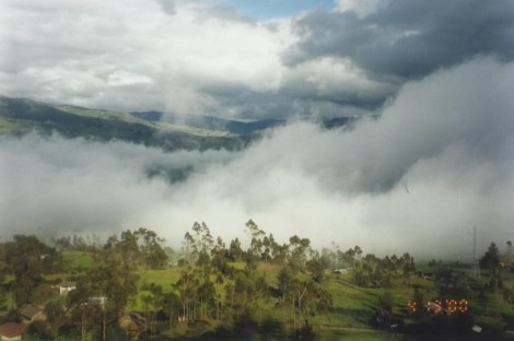 Driving Through an Andean Cloud Forest